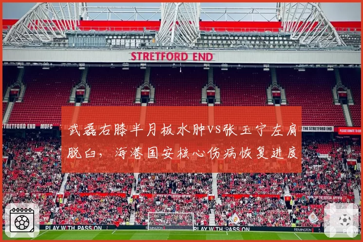 武磊右膝半月板水肿vs张玉宁左肩脱臼,海港国安核心伤病恢复进度对比
