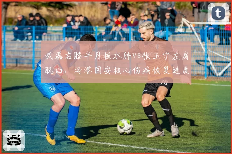 武磊右膝半月板水肿vs张玉宁左肩脱臼,海港国安核心伤病恢复进度对比