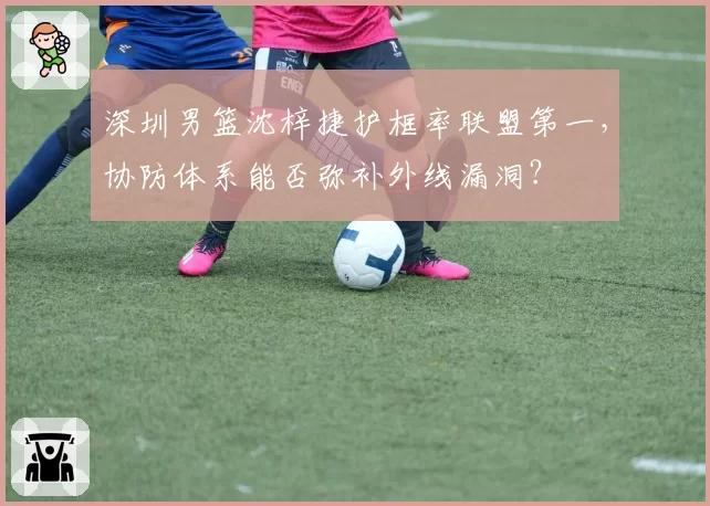 深圳男篮沈梓捷护框率联盟第一,协防体系能否弥补外线漏洞?